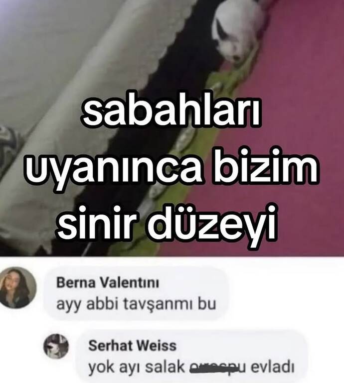 Sabahları agresif olur musunuz?