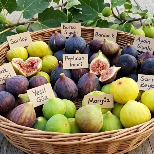 Siyah incir mi beyaz incir mi daha faydalı, siz hangisini ve neden tercih ediyorsunuz?