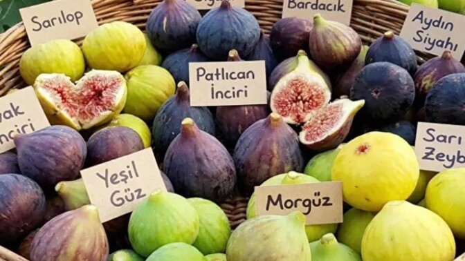 Siyah incir mi beyaz incir mi daha faydalı, siz hangisini ve neden tercih ediyorsunuz?
