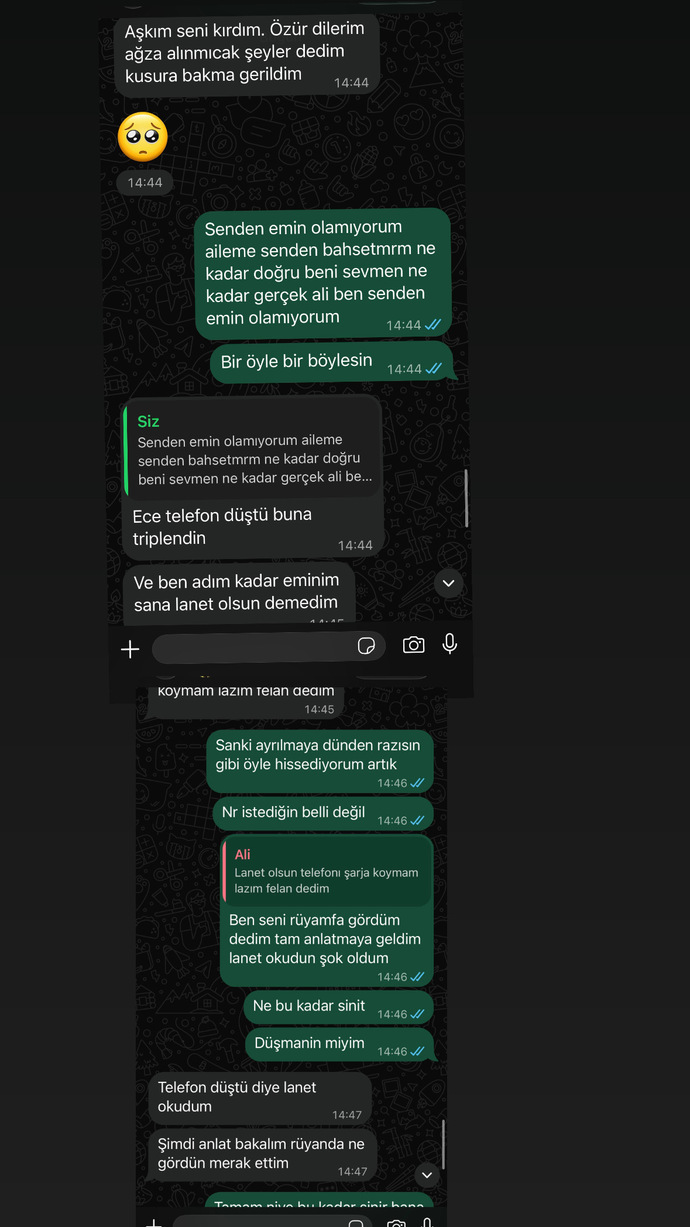 Sizce bana karşı çok kaba değil mi?