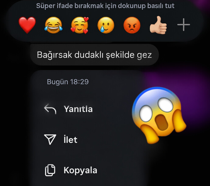 Sırf başka arkadaşlar ile geziyorum diye bağırsak dudaklı olduk 😹 bu da yeni türemiş galiba sjsjsjs