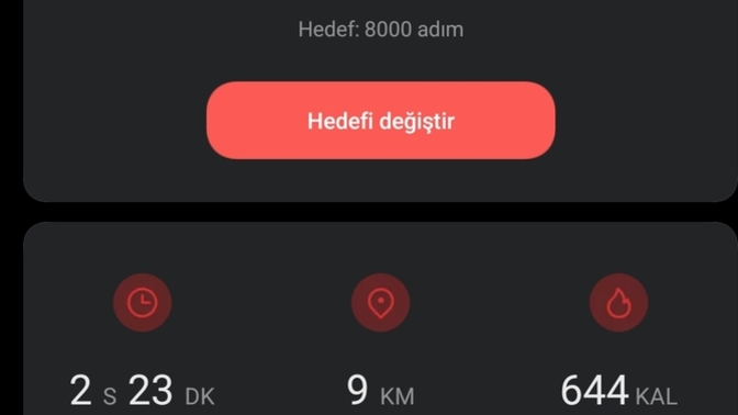 Yürüyüş yapmayı seviyor musunuz?