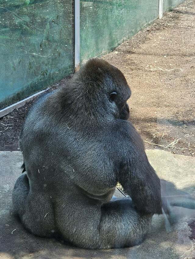 Dayımla şakalaşırken kalbini kırdım, bana küstü, nasıl gönlünü alabilirim?