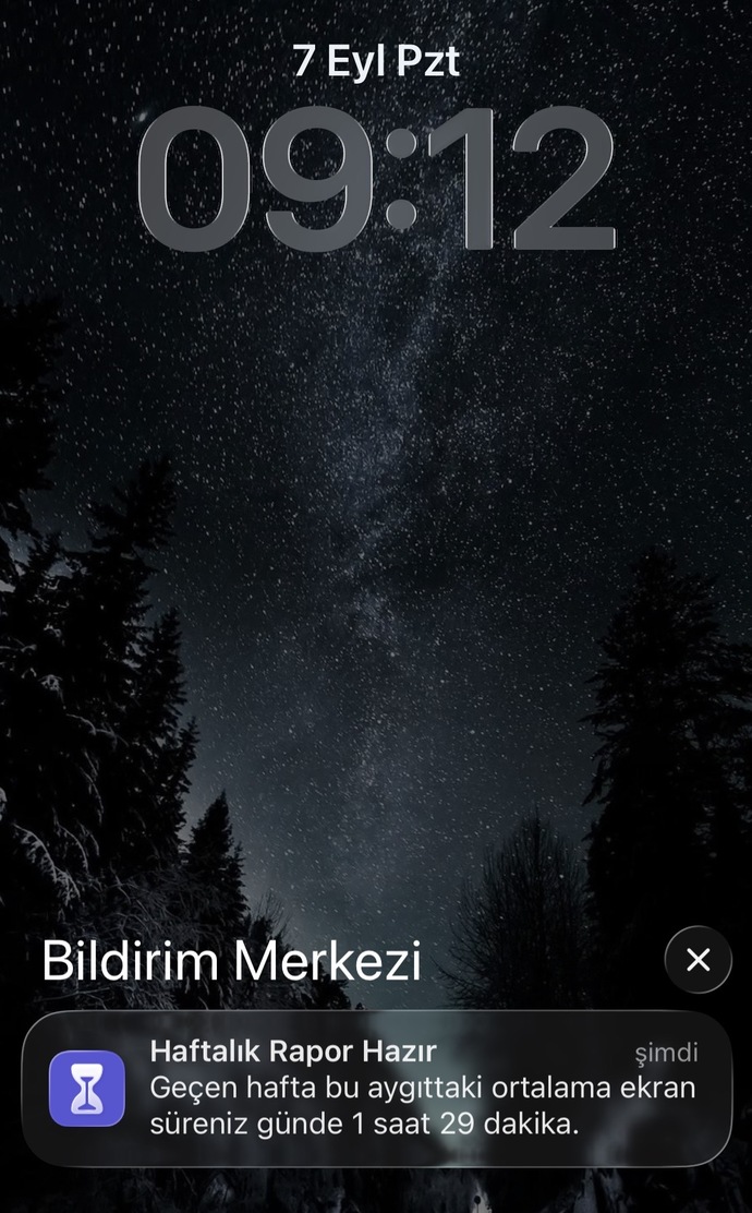 Günlük ortalama telefona bakma süreniz ne kadar?