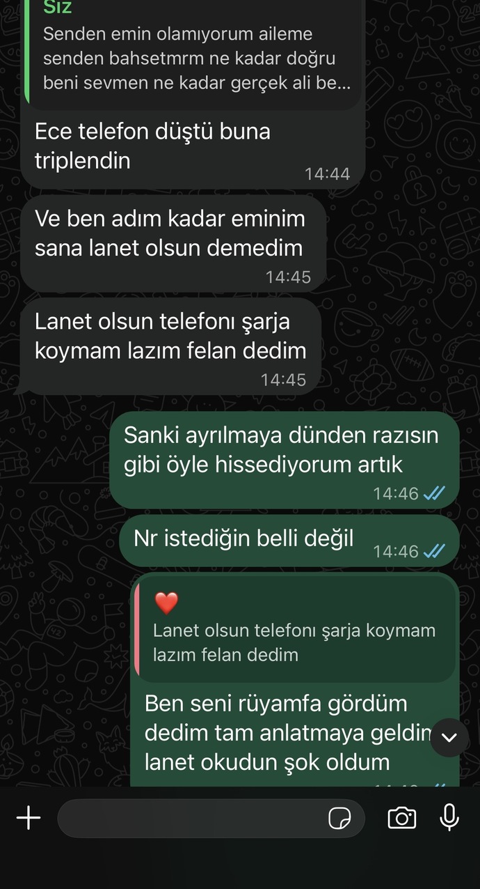 Bsna karşı çok ilgisiz değil mi sizce?