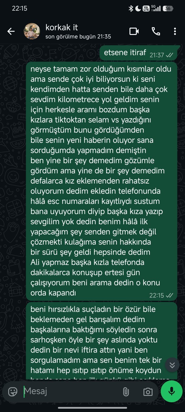 Sadece düşüncenizi merak ediyorum derken ne hakkında fikirlerinizi istiyorum?