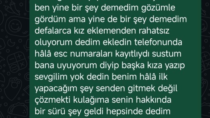 Sadece düşüncenizi merak ediyorum derken ne hakkında fikirlerinizi istiyorum?