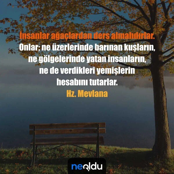 Yaşadıklarınızdan ders alıp önünüze bakıp ânı mı yaşarsınız yoksa aynı döngüde ilerlemeden gelişmeden dönüp durur musunuz?