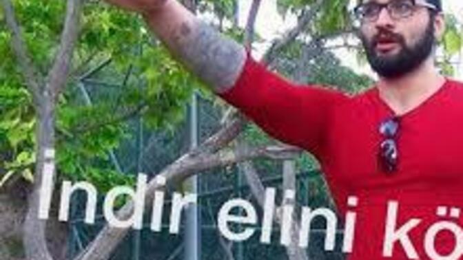 Bedava ve karşılıksız çalışmak isteyen insanlar bunu psikolojik olarak neden yapıyor?