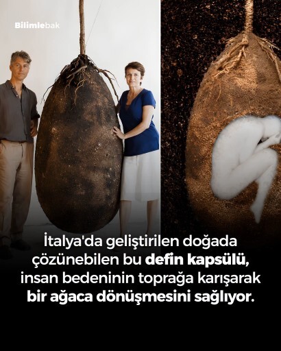 İnsanlar için Defin kapsülü hakkında ne düşünüyorsunuz?