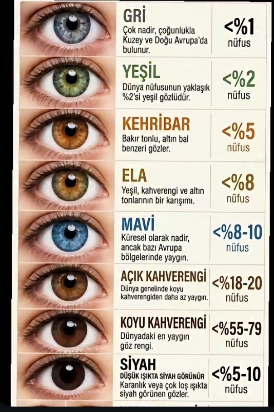 Sizin göz renginiz nedir, sizce karakteri gerçekten etkiler mi?