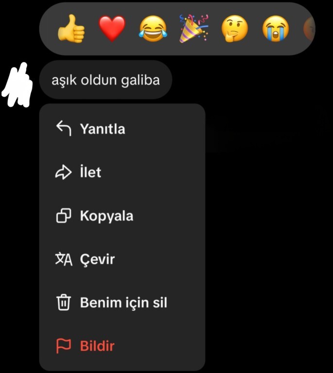 Karşı cinsten biri size aşık oldun galiba derse ne cevap verirdiniz?