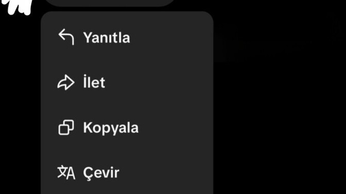 Karşı cinsten biri size 'aşık oldun galiba' derse ne cevap verirdiniz?