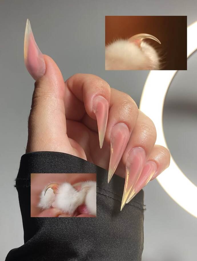 Kedi tırnağı ile yapılan bu protezleri nasıl buldunuz?