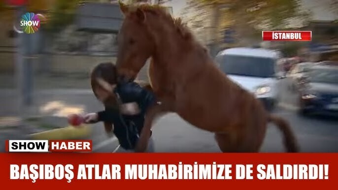 L koltuk mu olmak isterdiniz Armut Koltuk mu?