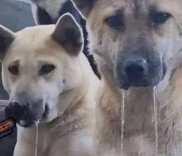 Beyaz ten mi, koyu ten mi daha çekici?