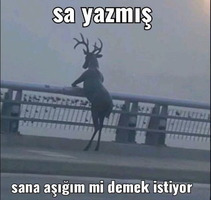 Sizi geceleri uyutmayan, cevabını bir türlü bulamadığınız o soru ne?