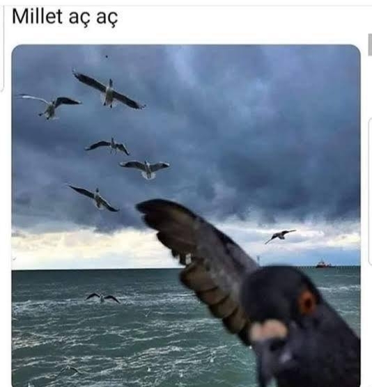 Sizce toplumda tek eşlilik neden azaldı?
