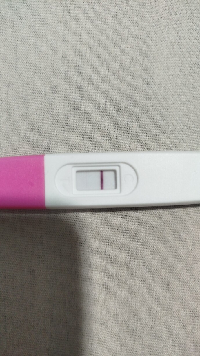 Reglme 3 gün kala idrar testi önce negatif 1 sonra silik pozitif, kan tahlili 6 Eylülde 0.100 çıktı hamile olabilirmiyim?