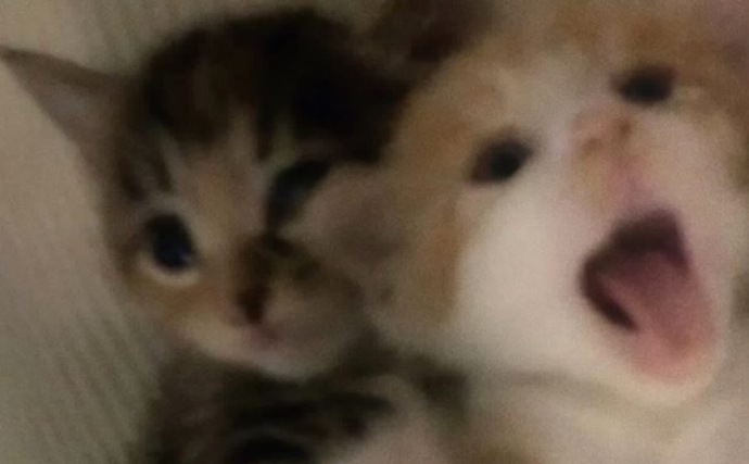Aşk konusunda şanslı mısınız?