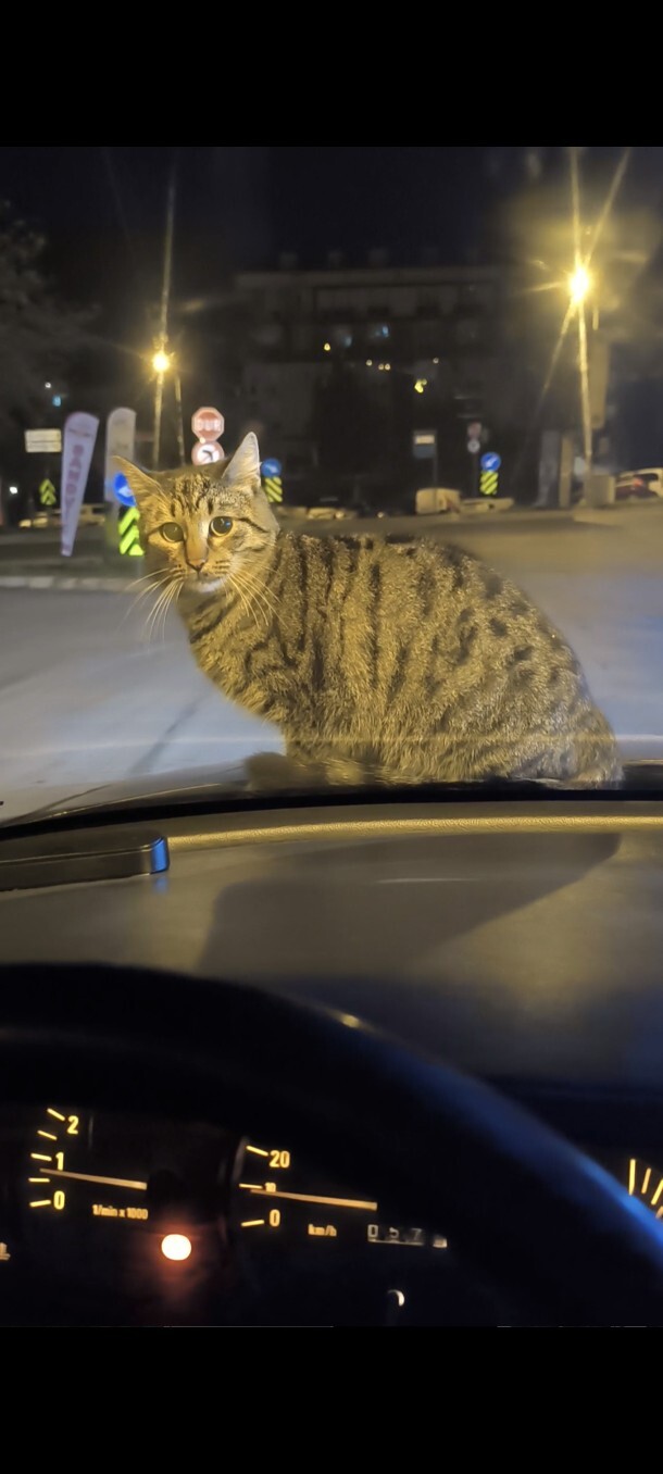Anlık napıyorsunuz, gece manzaralarınız nedir?