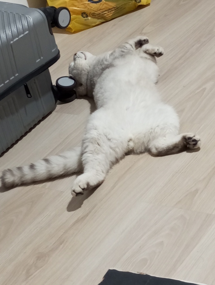 Anlık napıyorsunuz, gece manzaralarınız nedir?