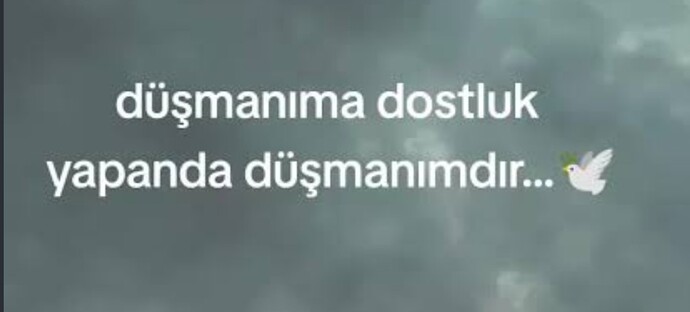 Dostunun dostu düşmanın mıdır dostun mudur?