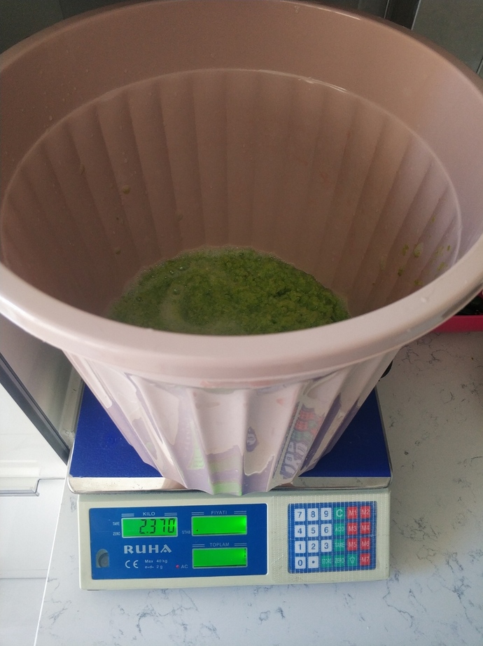 2370 gram çekilmiş çarliston biber