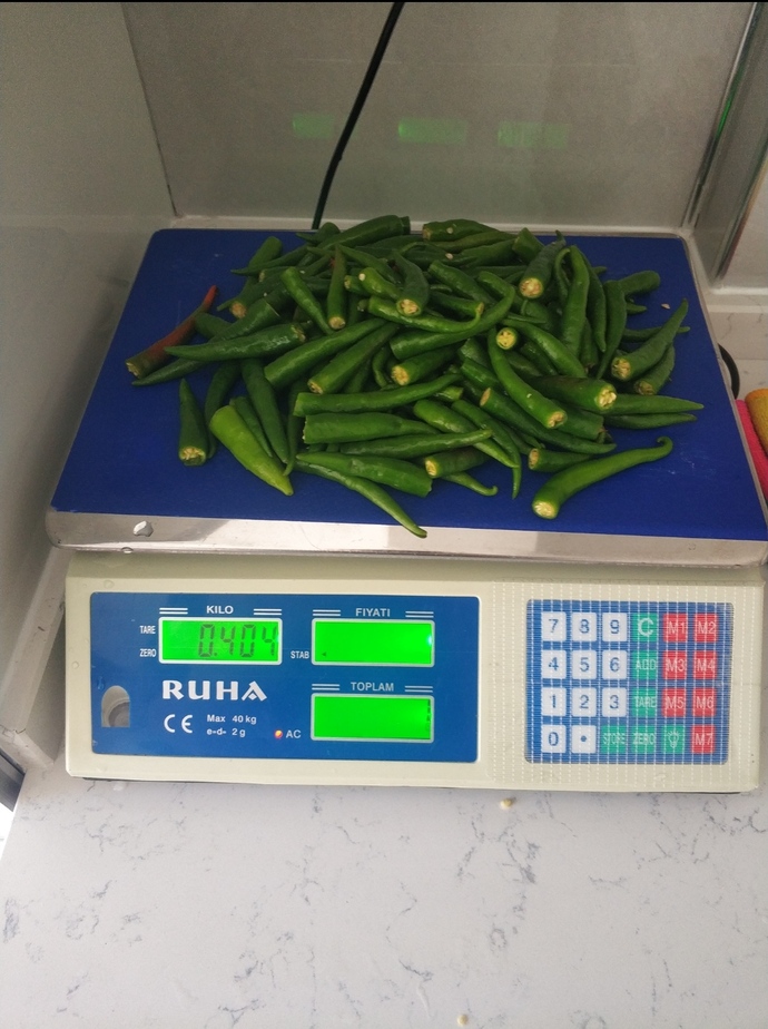 400 gram Arnavut biber