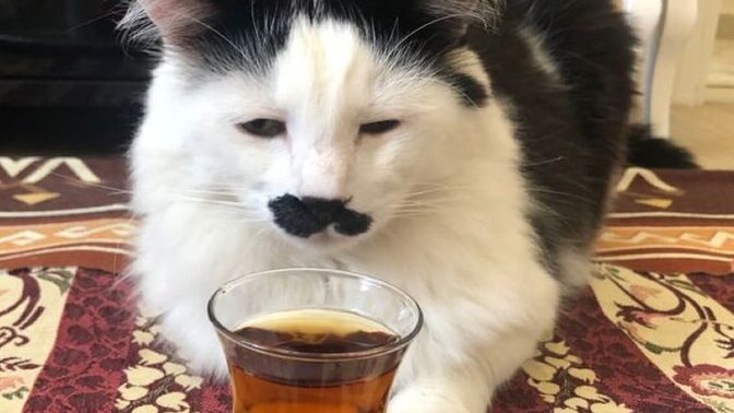 En sevdiğiniz türkü hangisi? Türkü sever misiniz?