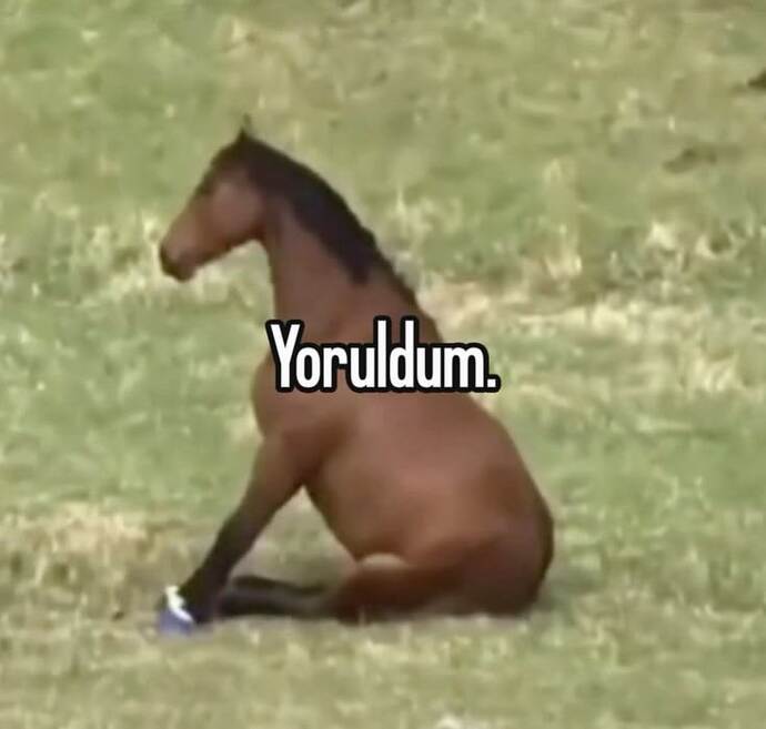 Hafif makaralı, fotoğraflı cevaplarım neden bazılarını bu kadar rahatsız ediyor?
