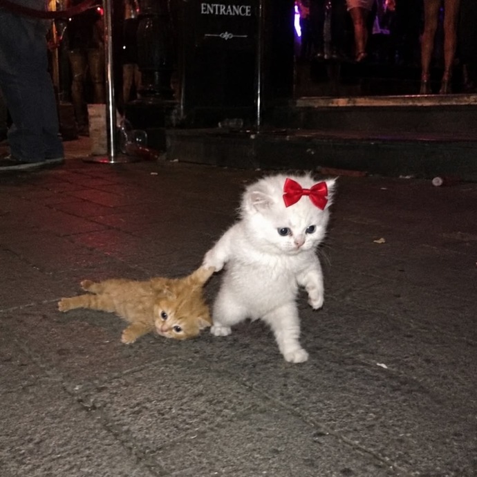 Kendi her haltı yiyip karşındakine ahkam kesenler belasını bulur mu?