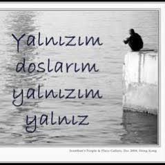 Yalnızmısınız A dostlar?