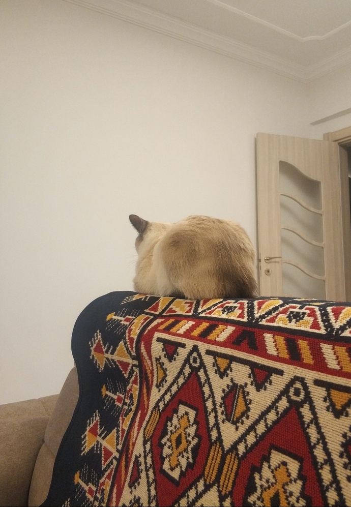 Küslüğünüz kaç gün sürüyor :)?