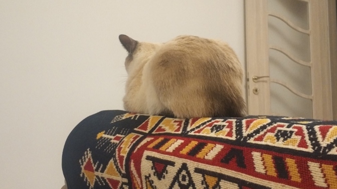 Küslüğünüz kaç gün sürüyor :)?