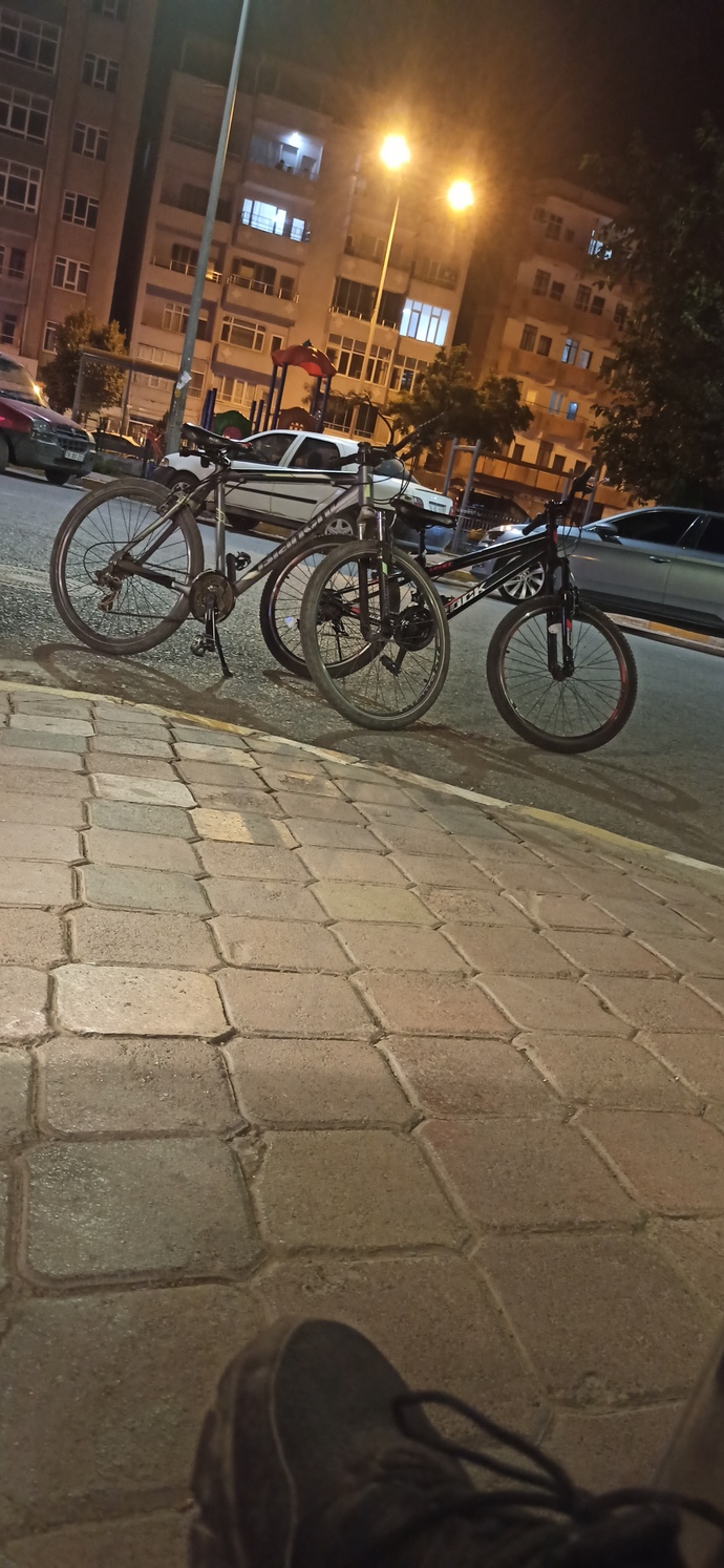 Bisikletle gezmeyi sever misiniz?