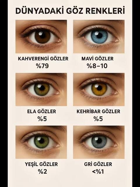 En güzel göz rengi hangileri sence?