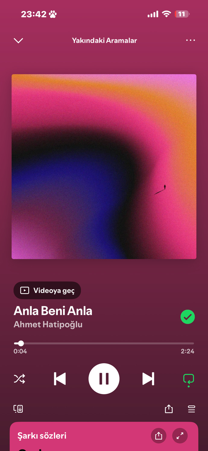 Cumartesiniz nasıl geçiyor napiyosunuz?