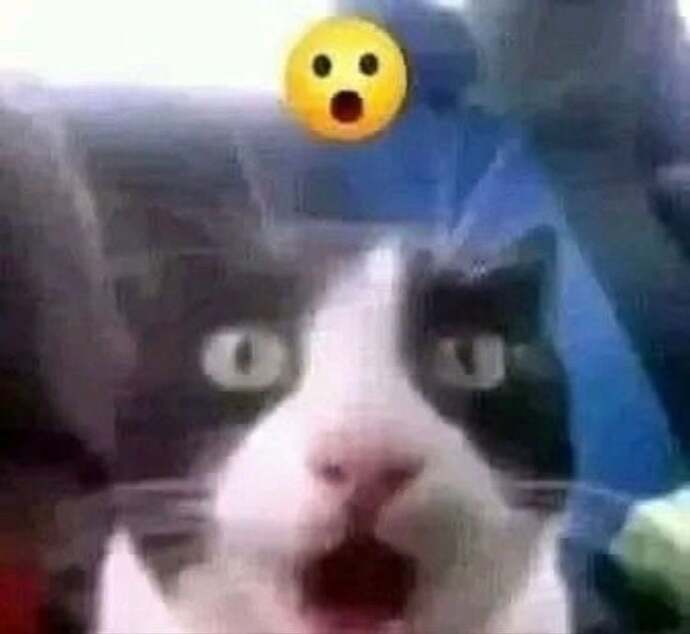 Her sabah yaptığınız bir şey var mı?