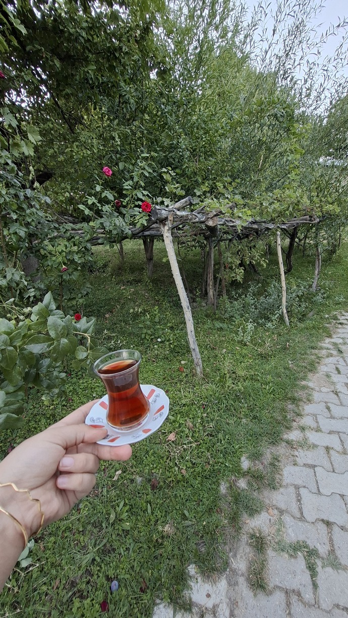 Yazın son demlerini nasıl geçiriyorsunuz?