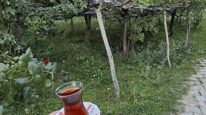 Yazın son demlerini nasıl geçiriyorsunuz?