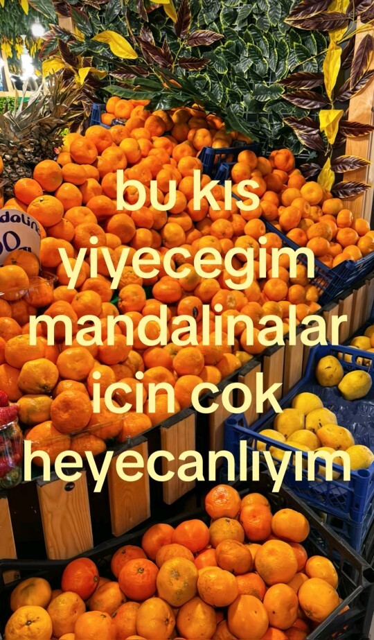 Kışın en sevdiğiniz meyve ne, sizce en iyi kış meyvesi hangisi?
