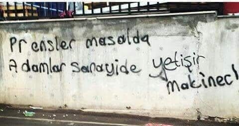 Prenses erkek misiniz, özelliklerinden hangilerini taşıyorsunuz?