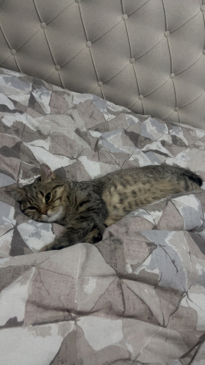 Yanımda böyle bir şey yatıyo napıcam?