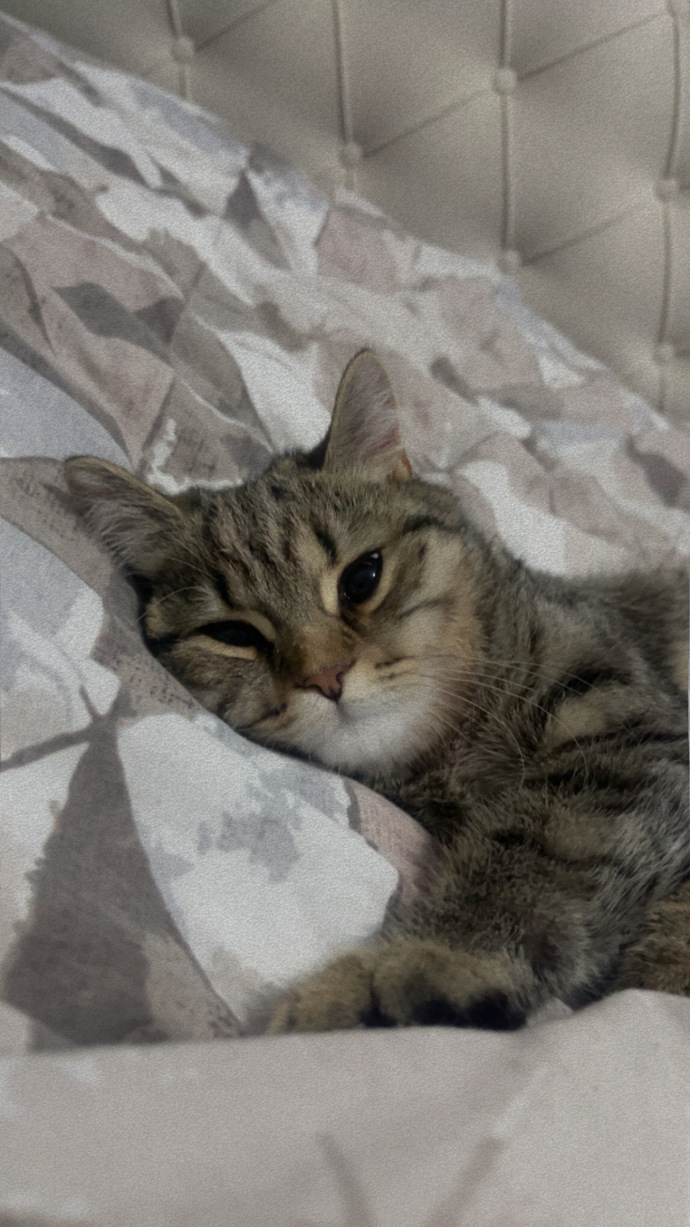 Yanımda böyle bir şey yatıyo napıcam?