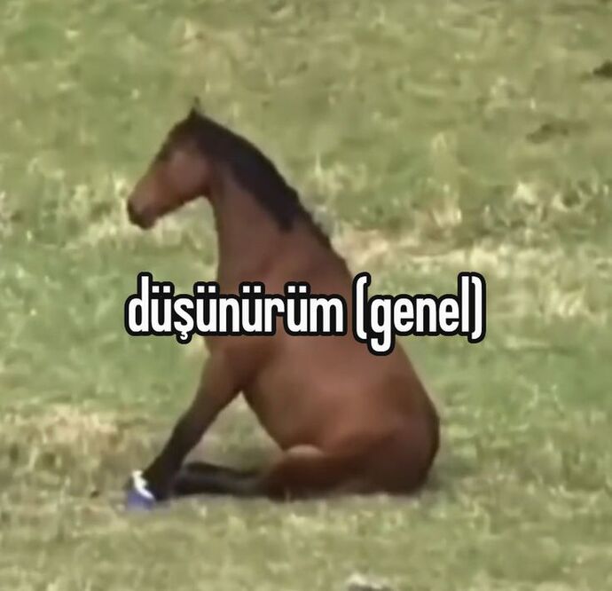 Feminist kadınların çok sinir bozucu ve iki yüzlü olması hakkında ne düşünüyorsunuz?