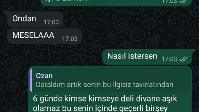 Bir erkek neden 6 günde deli divane gibi bir aşk bekler aşık olmak bu kadar kolay mı?