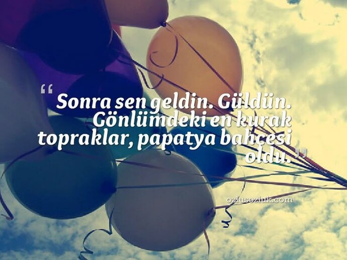 İyi geceler 🥰 bu hikâye beni etkiledi ve sormak istedim 🙃görmeden sevmeye inanır mısınız?