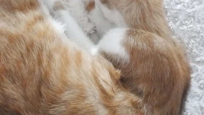 Üzgün olduğunuzu anlayıp yanınıza gelen var mı?