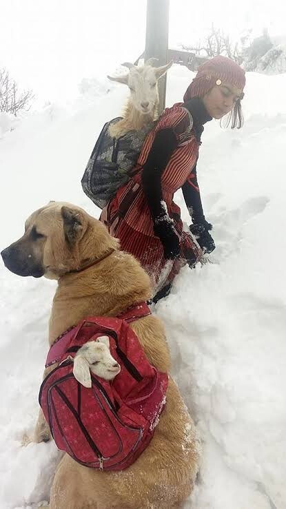 Fotoğrafa bir cümle ya da soru bırak?